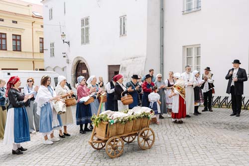 Festival vína VOC Znojmo